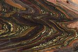 Polished Tiger Iron Stromatolite Slab - Billion Years #234819-1